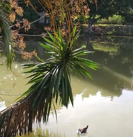 Del Lago Марбелья