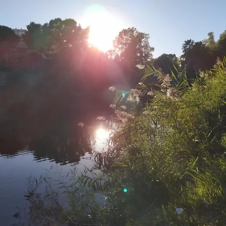 Del Lago Марбелья